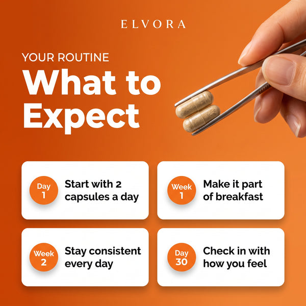 What to expect from your Elvora routine