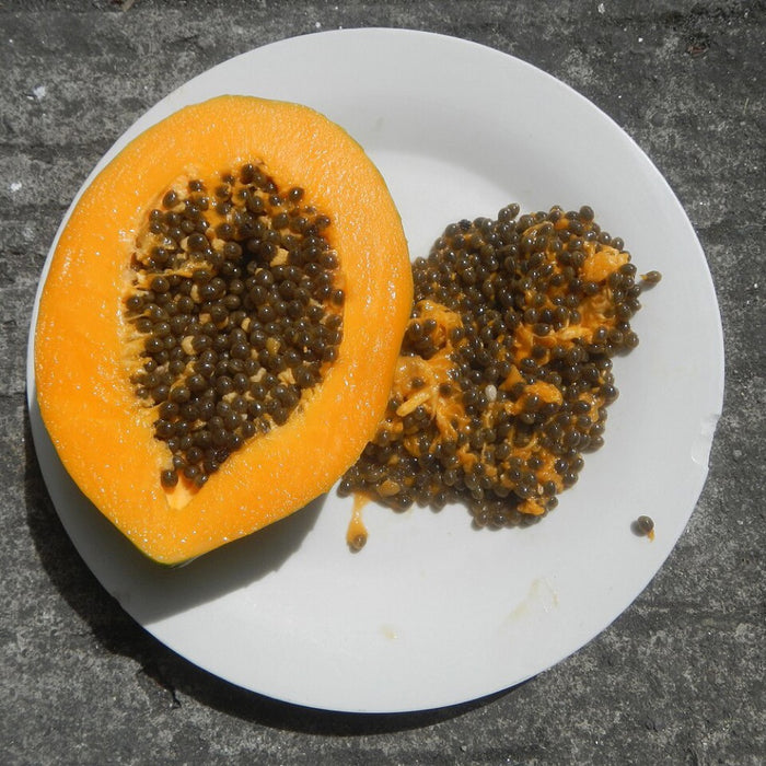 Papaya seed